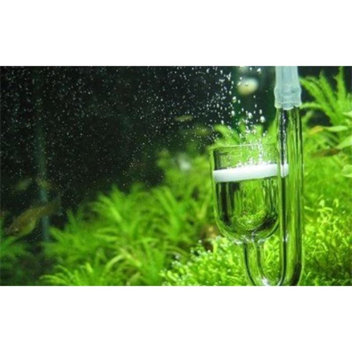 co2-glass-diffuser-ตัวกระจาย-co2-ขนาด-25-mm