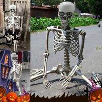 70-170 Cm Halloween Skeleton Prop Human Full Size Skull Hand Life Body Anatomy Model Decorhalloween Party Decor For Home