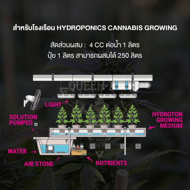 ปุ๋ย-ab-ปุ๋ยab-heaven-ab-glow-hydroponics-นำเข้าจากแคลิฟอร์เนีย