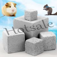 【hot sale】 ✇﹍ B32 silverware Small Pet Hamster Squirrel Rabbit Teeth Grinding Calcium Stone Molar Chew Toy