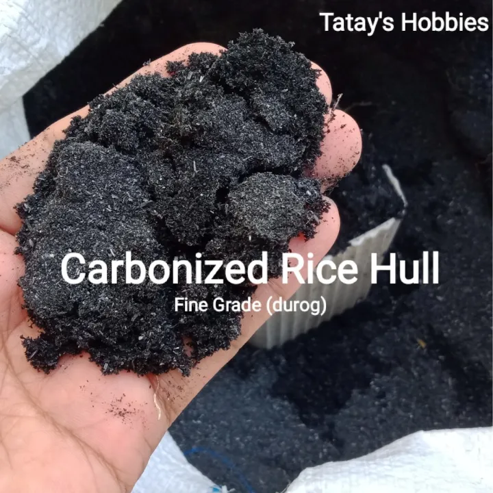 hotsByKVUjo Carbonized Rice Hull (CRH) Sug na Ipa / Inuling na Ipa 1 ...