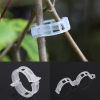 【hot】㍿❒  Pieces Veggie Garden Support Trellis Twine Greenhouse Grafting Suitable for 2.0-4.5mm Seedlings