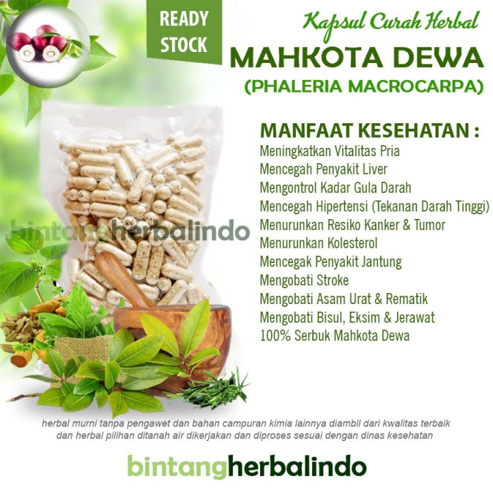 Mahkota Dewa 100 Kapsul Herbal Liver Bisul Eksim Stroke Asam Urat Haid Lazada Indonesia 4823