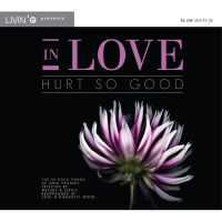 MP3 รวมศิลปิน อัลบั้ม In Love Hurt So Good [MP3 320KBPS] * CD-MP3 , USB-MP3*