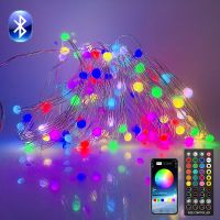 [Ricky Lighting] WS2812B USB บลูทูธ LED String 5V RGB IC Pixel Lndividual AddressabIe Christmas Fairy Lights พร้อมรีโมทคอนโทรล40ปุ่ม