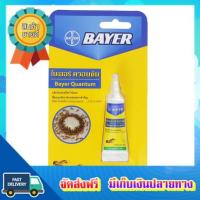 โอกาสทอง!! เบเยอร์ควอนตั้ม เหยื่อกำจัดมด 12ก. BAYER QUANTUM ANT KILLER GEL BAIT 12 G :: free delivery :: ส่งฟรี !!