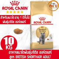 [หมดอายุ 09/07/24] Royal Canin BRITISH SHORTHAIR ADULT 10kg อาหารเม็ด สำหรับแมวโตพันธุ์บริติช ชอร์ตแฮร์