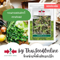 VP3 ซฟ เมล็ดพันธุ์ กะเพราแดง แสงระวี ตราศรแดง Holy Basil