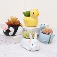 Animal Bonsai Pot Flowerpot Resin Craft Succulent Plant Vase Elephant Bear Rabbit Planter Pot Home Decor