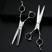 DAOSNKE Profesional Barber Tools For Hairdresser Scissors Hairdresser Cutter Hairdresser Shears,6.0 "440c Steel Coiffeuses