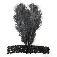 High Quality Two Ostrich Feather Sequins Handmade Custom Holiday Party Supplies Party Jewelry Birthday Headwear