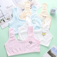 【jw】◎♦❁  4Pcs/lot Cotton Young Training Kids Teens Teenage Children Bras Tube Top sports 7-16Y bra set