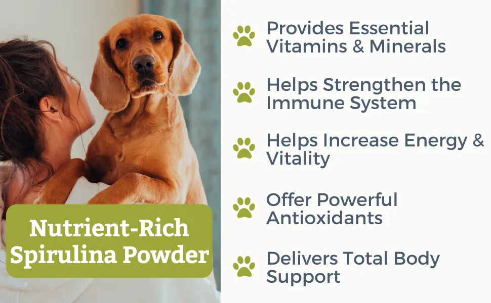 PRE-ORDER] Wholistic Pet Organics Spirulina for Dogs: Organic Spirulina  Powder Superfood Dog Multivitamin - Nutrient and Mineral Rich Spirulina  Supplement - 4 Oz (ETA: 2022-09-09) | Lazada