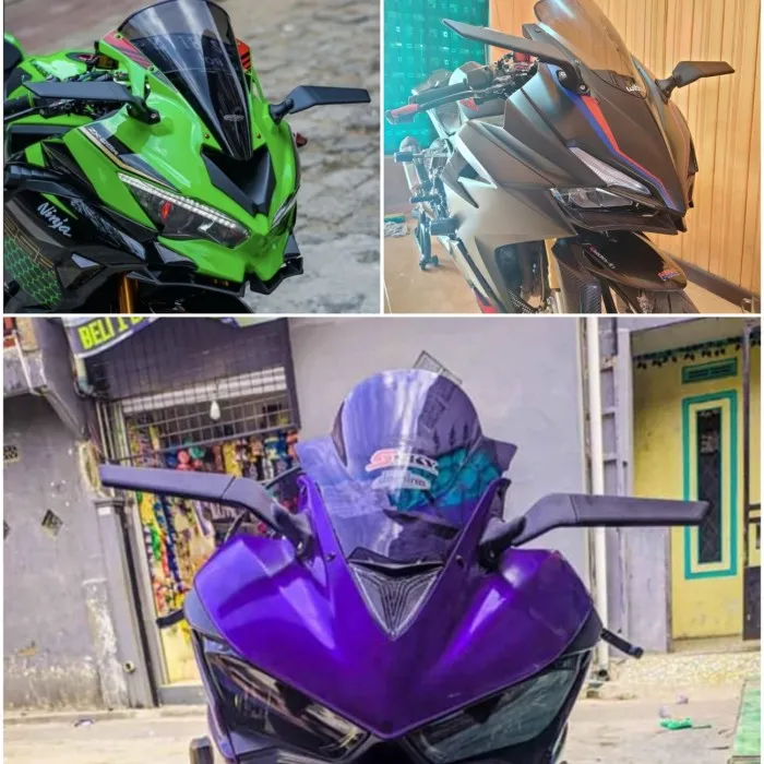 winglet ninja 250 sl
