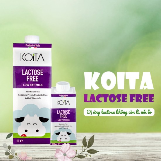 Sữa bò hữu cơ lactose free koita milk thùng 24 hộp x 200ml - ảnh sản phẩm 2