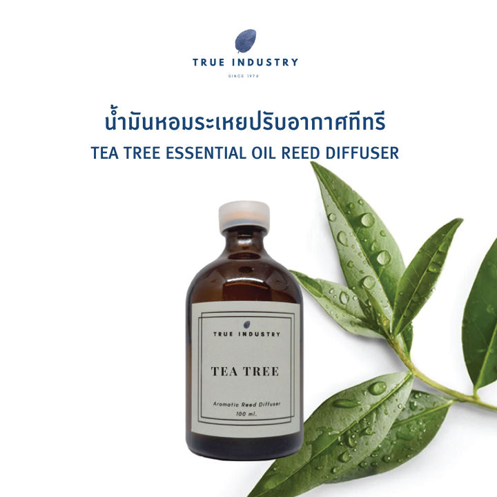 น้ำมันหอมระเหย-ทีทรี-สำหรับปรับอากาศ-tea-tree-essential-oil-reed-diffuser