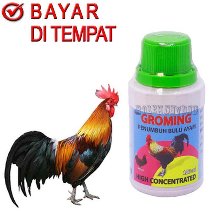 Vitamin Penumbuh Bulu Ayam dan Itik