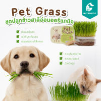 Pet Grass ชุดปลูกต้นอ่อนข้าวสาลี ออร์แกนิค สำหรับสุนัข แมว Organic ขับพยาธิ เสริมวิตามิน ปรับสมดุลลำไส้