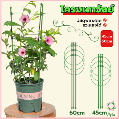 Ayla โครงเถาวัลย์ เสามะเขือเทศ โครงปลูก อุปกรณ์สำหรับพืชไม้เลื้อย 45cm 60cm plant trellis