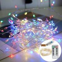 3M 5M สายไฟทองแดง LED USB รีโมทคอนโทรลไฟ Firecracker Fairy Garland สำหรับคริสต์มาส8โหมดงานแต่งงาน