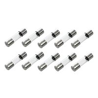 10 Pcs Fast Blow Type Glass Tube Fuses 5x20mm 250V 2Amp