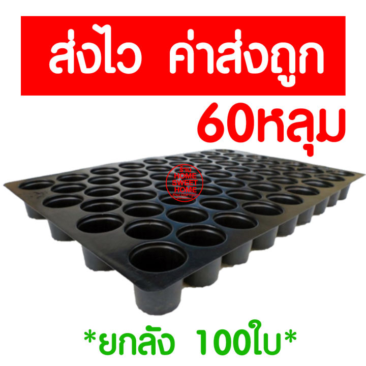 ค่าส่งถูก-ถาดเพาะกล้า-60หลุม-ถาดเพาะชำ-ถาดเพาะต้นกล้า-ยกลัง-ถาดเพาะต้นอ่อน-ถาดเพาะเมล็ด-ถาดเพาะปลูกผัก