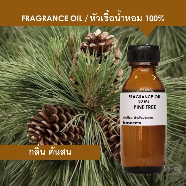 PINE TREE FRAGRANCE OIL หัวเชื้อน้ำหอม กลิ่นต้นสน เข้มข้นสูง ติดทนนาน