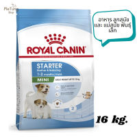 ?หมดกังวน จัดส่งฟรี ? Royal Canin Mini Starter Mother &amp; Babydog อาหาร ลูกสุนัข และ แม่สุนัข พันธุ์เล็ก ขนาด 16 kg.   ✨