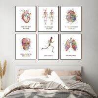 Human Medical Anatomy Vintage โปสเตอร์และพิมพ์หัวใจปอดสมองละติน Quote Art ภาพวาดผ้าใบ Doctor ของขวัญ Clinic Wall Decor New