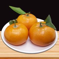 50 บอนไซ Orange Tree เมล็ดพันธุ์ผลไม้อร่อยต้นบอนไซ - Fruit Seeds [ไม่ใช่พืช! เป็นเมล็ดพันธุ์] [คลังสินค้าจุด][ขายตรงจากโรงงาน][ของแท้อย่างเป็นทางการ][โปรโมชั่นลดราคา][50 เมล็ดพันธุ์][เมล็ดผลไม้][เมล็ดพันธุ์ผัก][อร่อยจัง][ปลอดภัย][คลังสินค้าจุด][ผลผลิต89%]