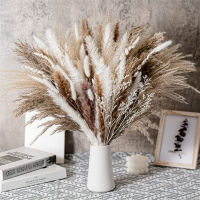 【cw】80PCS Natural Dried Pampas Grass Bouquet,Boho Home Decor Bouquet,Phragmites Dried Flowers,Bouquet for Wedding Ramadan Decoration ！