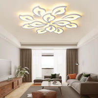 Modern acrylic LED ceiling lamp high-end bedroom ceiling lamp restaurant lighting ho dimming lamp direct sales