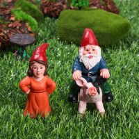 Micro Landscape Christmas Gift Miniature Dwarf Figurine Fairy Garden ตกแต่งหญิง Goblin รูปปั้นขี่หมู Gnome