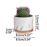 Home Garden Nordic Marble Ceramic Succulent Flowerpot Mini Potted Desk Furnishings Straight Round Balcony Green Planting