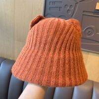 Cute Cat Ear Hat, Women’S Autumn And Winter Fashion Knitted Fisherman Hat Version Of The Korean Basin Hat