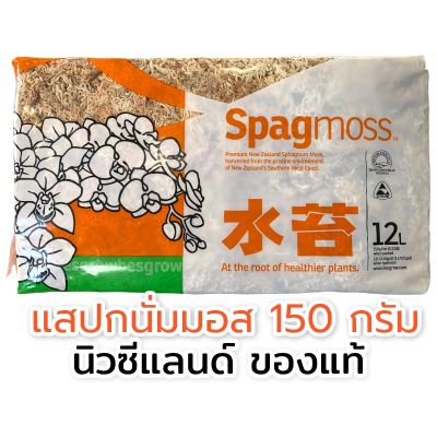 สแฟกนั่มมอส Spagmoss ️วัสดุปลูก ️ ขนาด 150g. (12L.) GREENHOME ส่งทุกวัน