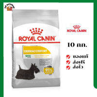 ?ส่งฟรี Royal Canin สุนัขโต บำรุงผิวหนัง สูตร Mini Dermacomfort เม็ดเล็ก ขนาดสินค้า 10 kg. เก็บเงินปลายทาง ✨