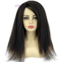 【jw】▫✙✑ Synthetic African Female Wig Afro Kinky Straight Wigs Fluffy Fake Hair