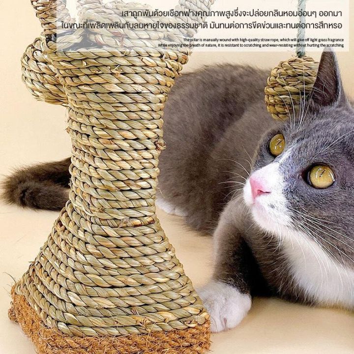 เสาลับเล็บแมว-ที่ลับเล็บแมว-อุปกรณ์สัตว์เลี้ยงราคาถูก-พร้อมส่ง-ของเล่นแมว-ที่ขูดเล็บแมว-สินค้าอยู่ไทย-ส่งจริง-สินค้าราคาถูก