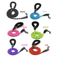 【LZ】vlp533 Luminous Beautiful 1.5M Nylon Safety Buckle Dog Pet Leash High Quality 02