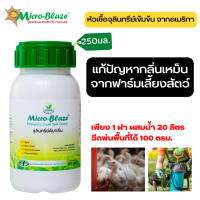 Micro-Blaze 250 มล.พร้อมส่งฟรี หัวเชื้อจุลินทรีย์แก้ปัญหากลิ่นเหม็น ลดการเกิดแก๊สแอมโมเนียในฟาร์ม  ลดแมลงวัน นำเข้าจากอเมริกา