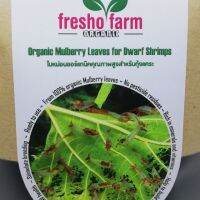 ❤อาหารกุ้งแคระ Fresho Farm  ทำจากใบหม่อนออแกนิก  คัดแต่ใบอ่อน☚