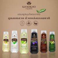 (ส่งฟรี)เขาค้อทะเลภู แชมพูและครีมนวดผมสมุนไพร ขวดใหญ่ 330ml - KHAOKHO TALAYPU Herbal Shampoo &amp; Conditioner 330ml (Organic)