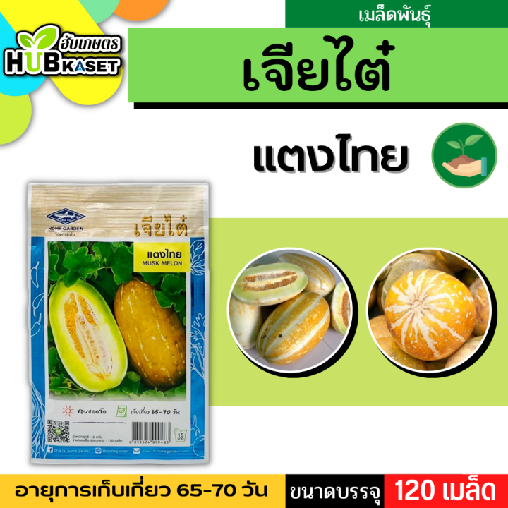 เจียไต๋ 🇹🇭 แตงไทย ขนาดบรรจุประมาณ 120 เมล็ด อายุเก็บเกี่ยว 65-70 วัน