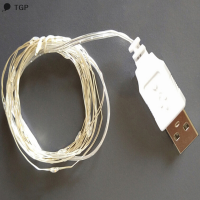 ? TGP 2M 20Led 3M 30Led USB ดำเนินการ MINI LED copper Wire String Fairy Lights LED