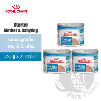 Royal Canin Starter Mother&amp;Babydog สำหรับแม่สุนัขพันธุ์เล็กช่วงตั้งท้องถึงระยะให้นม และลูกสุนัขพันธุ์เล็กหย่านม-2เดือน ขนาด195g x 3 กระป๋อง