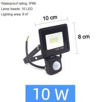 LED Floodlight 220V PIR Motion Sensor Spotlight Outdoor Wall Light Induction Waterproof Corridor Garden Lamp 10W 20W 30W 50W