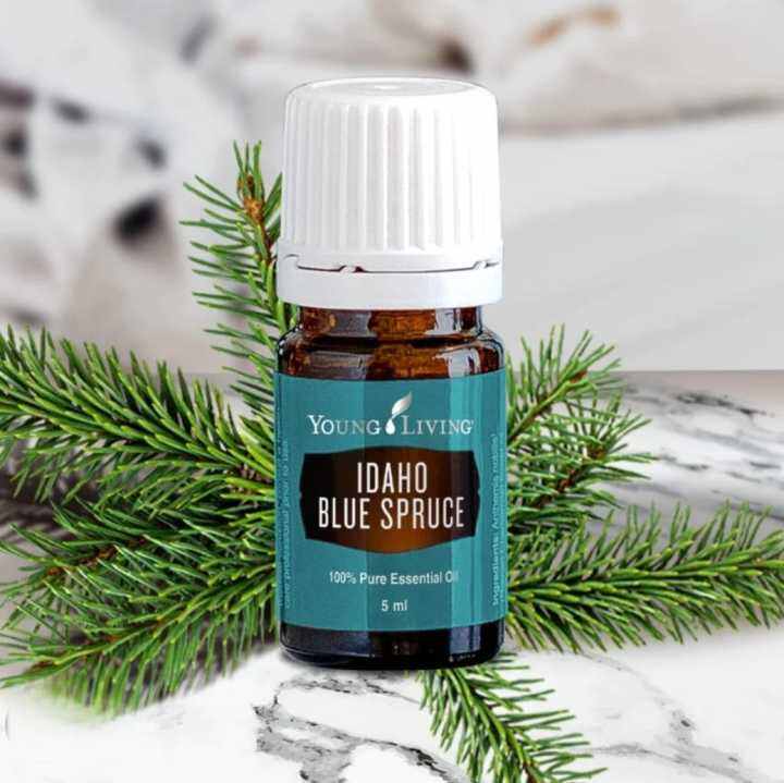 100% Original - Young Living Idaho Blue Spruce Essential Oils 5ml | Lazada