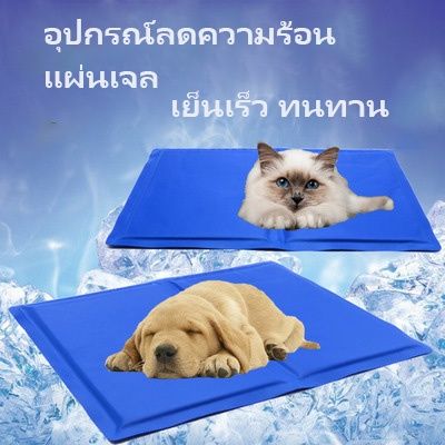 ที่นอนเจลเย็น สำหรับสัตว์เลี้ยง แผ่นทำความเย็น (PAT COOL MAT)