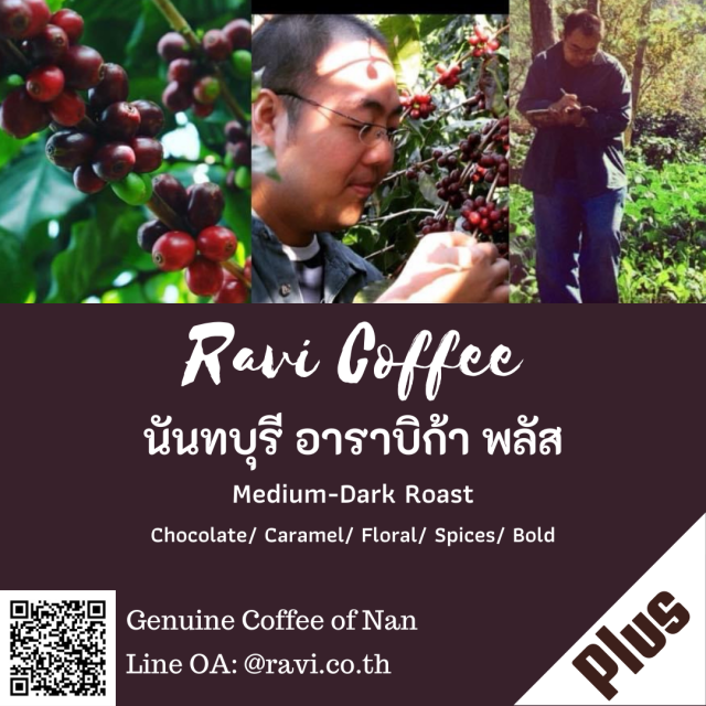 ravi-coffee-นันทบุรี-อาราบิก้า-พลัส